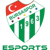 Bursaspor Esports (Dota 2)