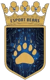 Esport Bears (Dota 2)