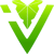 IVY (Dota 2) IVY (Dota 2)