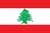 Team Lebanon (Dota 2)