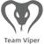 Team Viper (Dota 2)