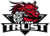 Team Trust (Dota 2)