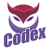 Team Codex (Dota 2)
