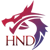 Hanoi Dragons (EA SPORTS FC)