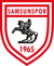 Samsunspor (EA SPORTS FC)