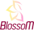 BlossoM (Heroes of the Storm)