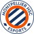 MHSC Esport (LoL)