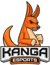 Kanga Esports (Overwatch)