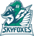 Meta Skyfoxes (Overwatch)
