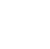 Vici Gaming (Overwatch)