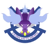 Team Witchers (Pokemon)