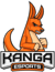 Kanga Esports (Rainbow Six)
