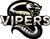 Team Viper (Rainbow Six)