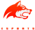 Denial Esports (Rocket League)