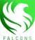Team Falcons (Rocket League) Team Falcons (Rocket League)