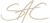 SAC (Rocket League)