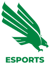 University of North Texas (Rocket League)