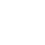 Cyber Wolves White (VALORANT)