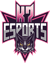 K7 Esports (VALORANT)