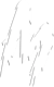 MAD Army (VALORANT)