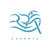 ROA (VALORANT)