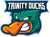 Trinity Ducks C (VALORANT)