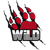 WiLD MultiGaming (VALORANT)