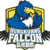 Hungkuang Falcon (VALORANT)