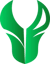Carti Esports (VALORANT)