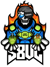S8UL Esports (VALORANT)