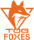 TeamOrangeGaming (VALORANT)