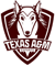 Texas A&M University (VALORANT)
