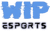 WIP Esports (VALORANT)