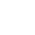 Furious Gaming (Wild Rift)