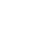 Vi