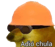 hobod