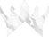 WedTube