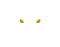 The Atlas Lions (Call of Duty)
