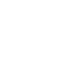 Team Vitality