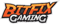 Bitfix Gaming Academy (Counter-Strike (CS2)) Bitfix Gaming Academy (Counter-Strike (CS2))
