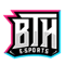 BTH (Counter-Strike (CS2)) BTH (Counter-Strike (CS2))