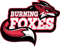 Burning Foxes (Counter-Strike (CS2)) Burning Foxes (Counter-Strike (CS2))