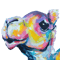 Candy Camel (Counter-Strike (CS2)) Candy Camel (Counter-Strike (CS2))