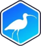 Curlews (Counter-Strike (CS2)) Curlews (Counter-Strike (CS2))