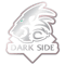 Darkside (KW) (Counter-Strike (CS2)) Darkside (KW) (Counter-Strike (CS2))