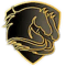 DBL PONEY (Counter-Strike (CS2)) DBL PONEY (Counter-Strike (CS2))
