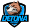 DETONA (Counter-Strike (CS2)) DETONA (Counter-Strike (CS2))