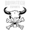 DomiNation eSports (Counter-Strike (CS2)) DomiNation eSports (Counter-Strike (CS2))
