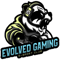 Evolved Gaming (Counter-Strike (CS2)) Evolved Gaming (Counter-Strike (CS2))