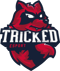 ex-Tricked (Counter-Strike (CS2)) ex-Tricked (Counter-Strike (CS2))